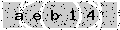 verify code