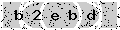 verify code