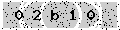 verify code