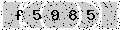 verify code