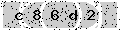 verify code
