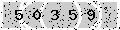 verify code