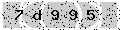 verify code