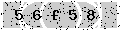 verify code