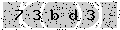 verify code