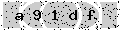 verify code