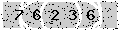 verify code