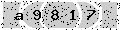 verify code