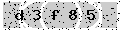 verify code