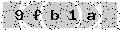 verify code