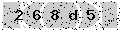 verify code