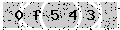 verify code