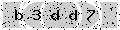 verify code