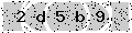 verify code