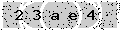 verify code