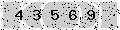 verify code