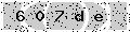 verify code