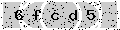 verify code