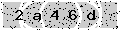 verify code