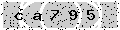 verify code
