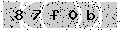 verify code