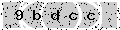 verify code