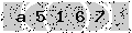 verify code