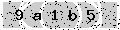 verify code