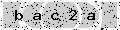 verify code