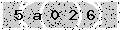 verify code