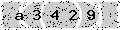 verify code