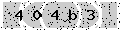 verify code