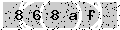 verify code