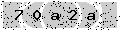 verify code