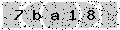 verify code