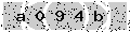 verify code
