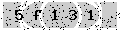 verify code
