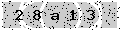 verify code