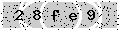 verify code