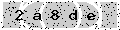 verify code