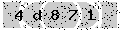 verify code