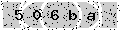 verify code