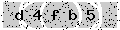 verify code
