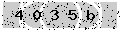 verify code