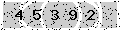 verify code
