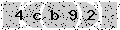 verify code