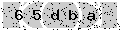 verify code