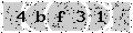 verify code