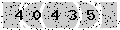 verify code