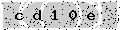 verify code